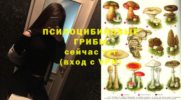 ECSTASY Абдулино