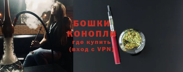 прущие грибы Семилуки