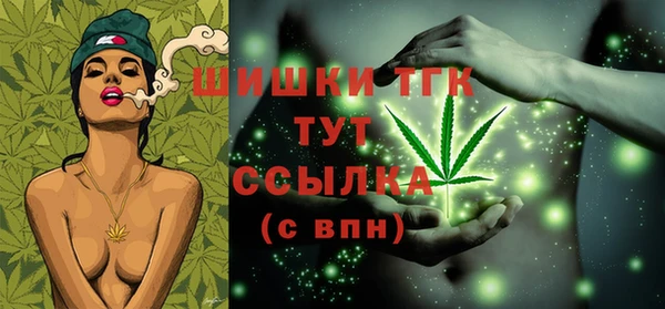 прущие грибы Семилуки