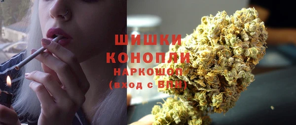 СК Абинск